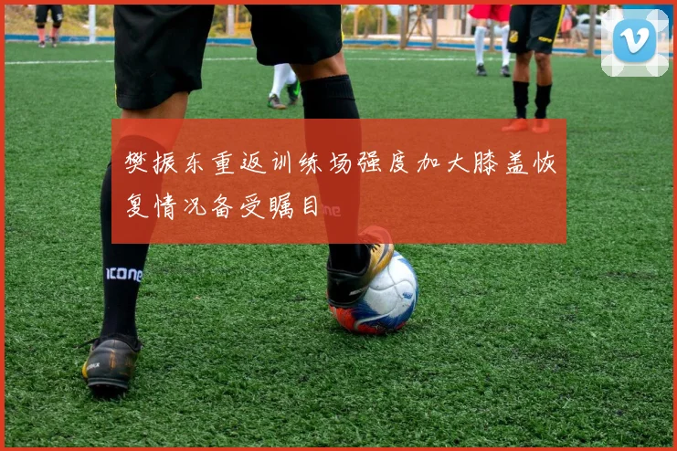 樊振东重返训练场强度加大膝盖恢复情况备受瞩目